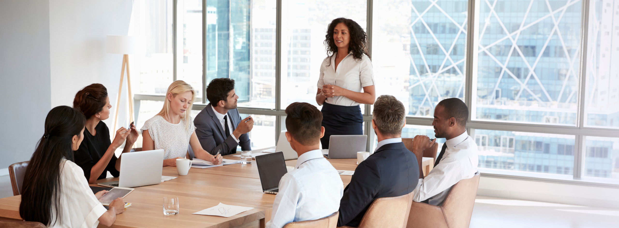 Corporate Travel Program