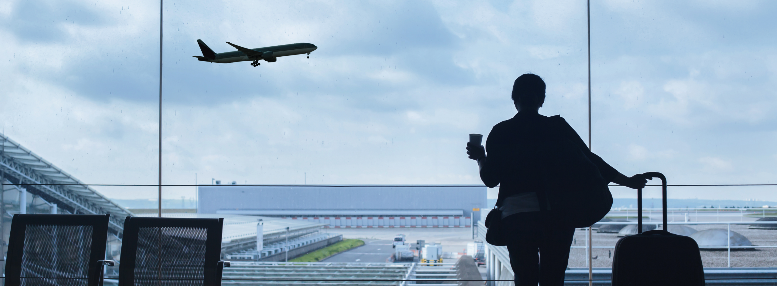 Future of Airline Ancillary Sales